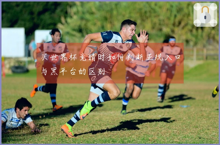 买世界杯竞猜时如何判断正规入口与黑平台的区别