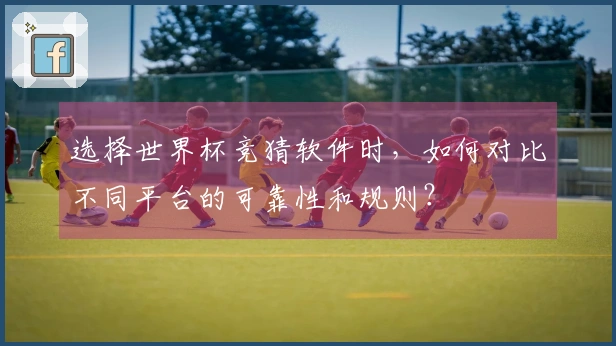 选择世界杯竞猜软件时，如何对比不同平台的可靠性和规则？
