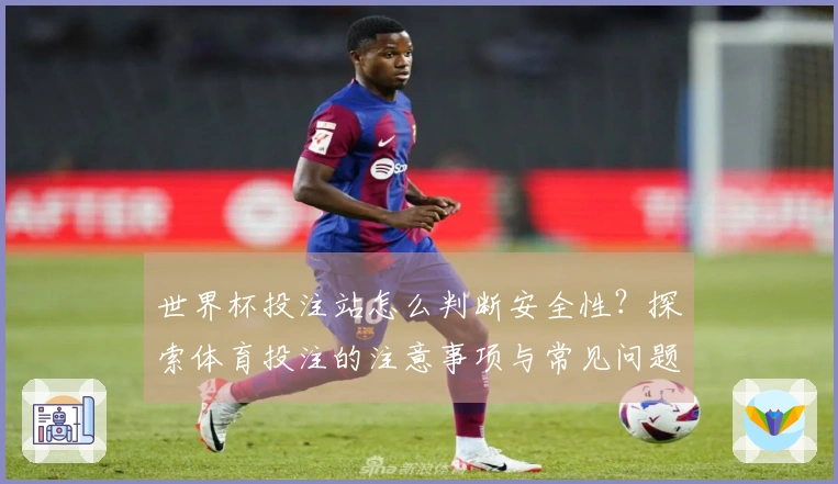 世界杯投注站怎么判断安全性？探索体育投注的注意事项与常见问题