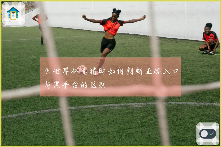 买世界杯竞猜时如何判断正规入口与黑平台的区别
