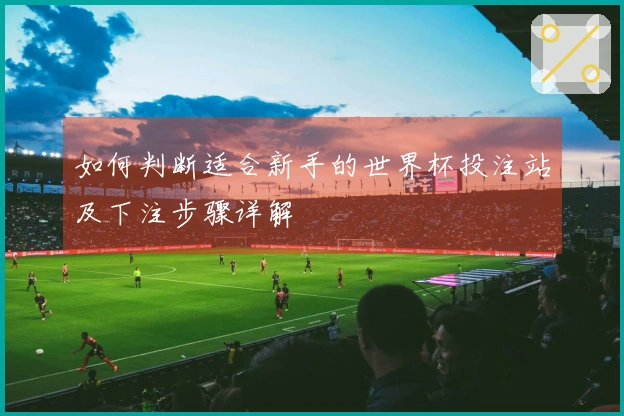 如何判断适合新手的世界杯投注站及下注步骤详解