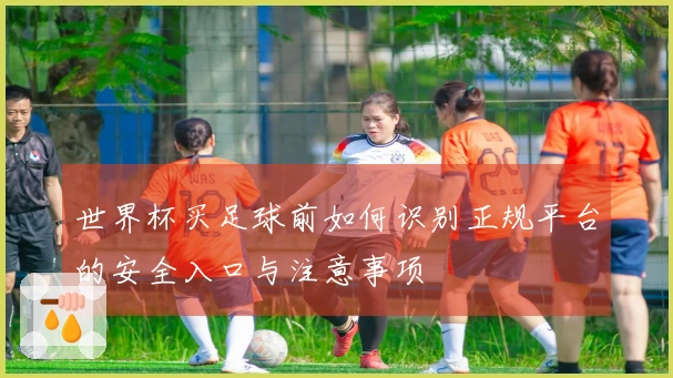 世界杯买足球前如何识别正规平台的安全入口与注意事项