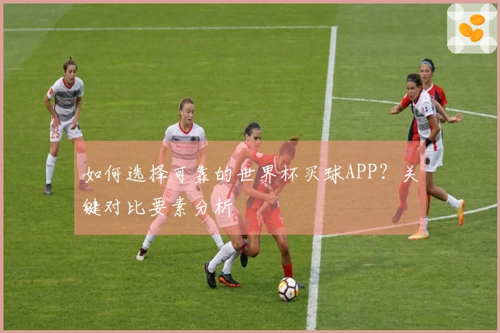 如何选择可靠的世界杯买球APP？关键对比要素分析