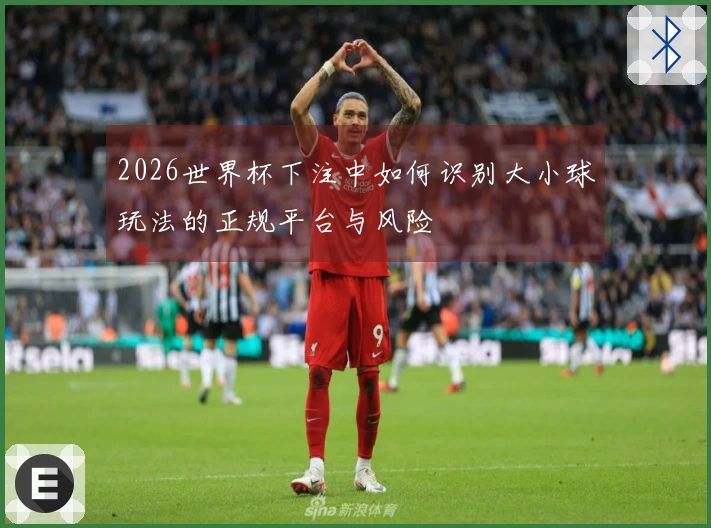 2026世界杯下注中如何识别大小球玩法的正规平台与风险