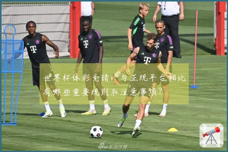 世界杯体彩竞猜，与正规平台相比有哪些重要规则和注意事项？