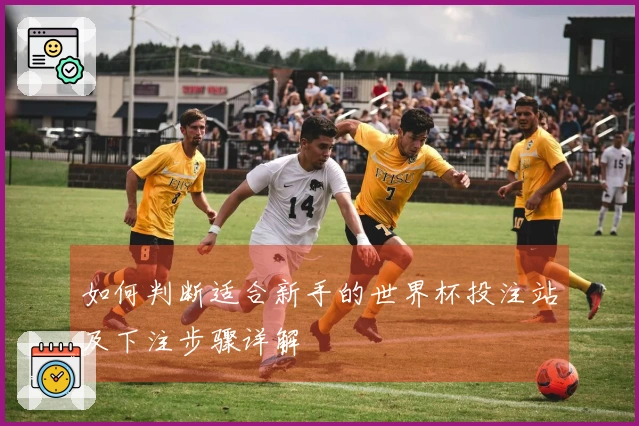 如何判断适合新手的世界杯投注站及下注步骤详解