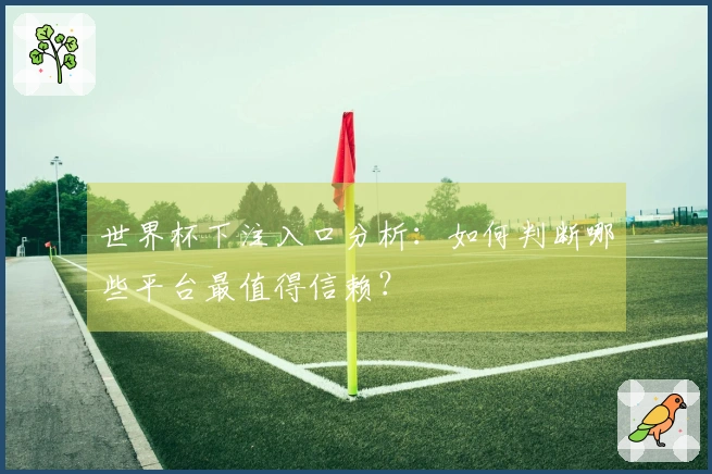 世界杯下注入口分析：如何判断哪些平台最值得信赖？