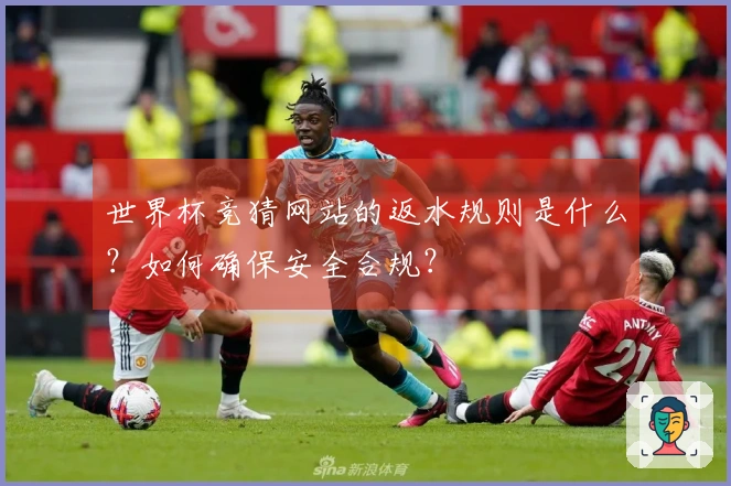 世界杯竞猜网站的返水规则是什么？如何确保安全合规？