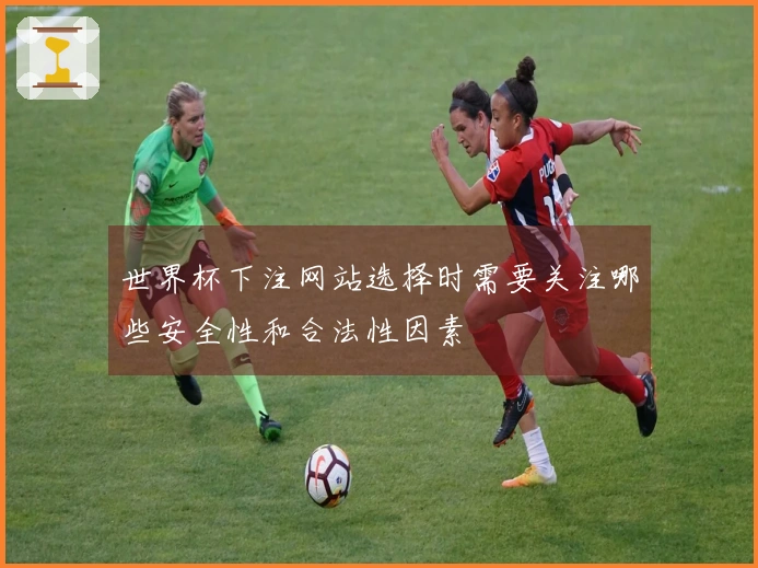 世界杯下注网站选择时需要关注哪些安全性和合法性因素