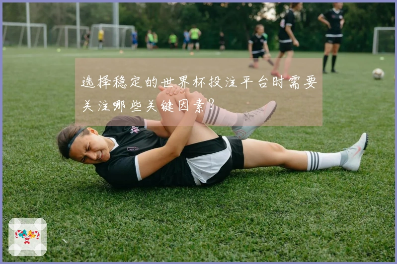 选择稳定的世界杯投注平台时需要关注哪些关键因素？
