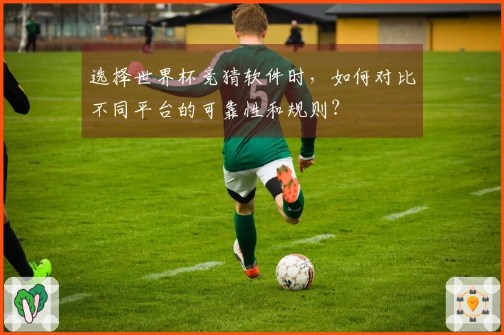 选择世界杯竞猜软件时，如何对比不同平台的可靠性和规则？