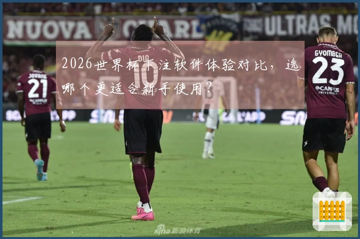 2026世界杯下注软件体验对比，选哪个更适合新手使用？