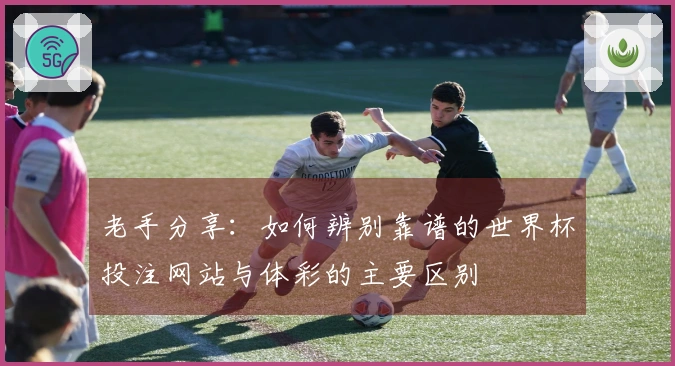 老手分享：如何辨别靠谱的世界杯投注网站与体彩的主要区别