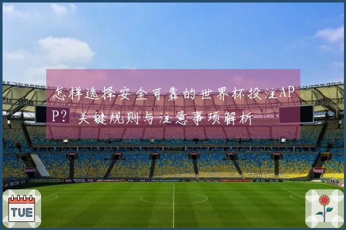 怎样选择安全可靠的世界杯投注APP？关键规则与注意事项解析
