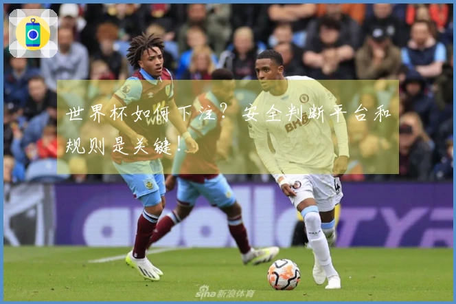 世界杯如何下注？安全判断平台和规则是关键！